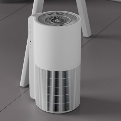 Small Particulate Hepa Filter Air Purifier For Purification Disinfection